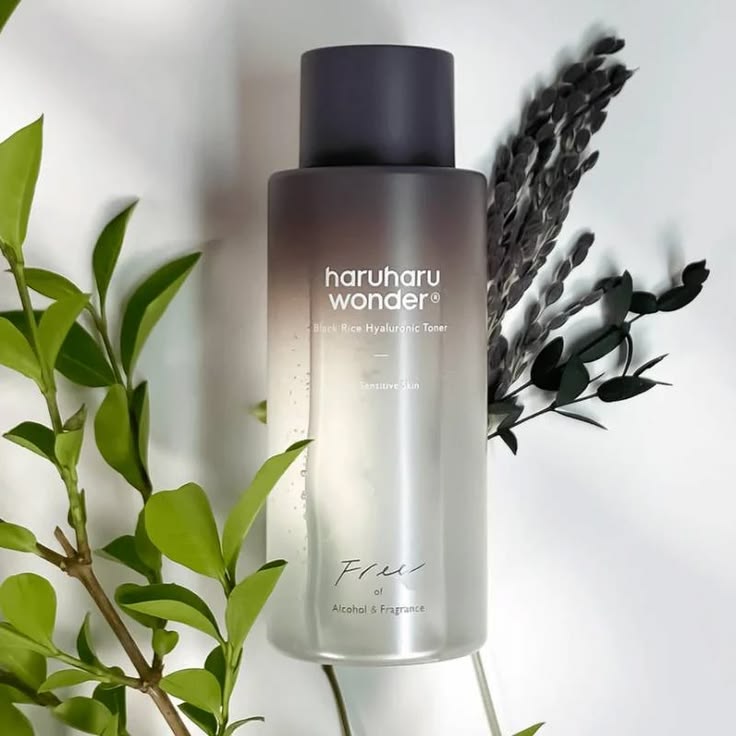 Haruharu Wonder Black Rice Hyaluronic Toner bottle